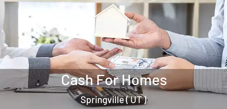  Cash For Homes Springville ( UT )