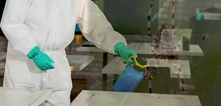 Why Buyers Still Want Homes With Pest Infestations in Kearns, UT?