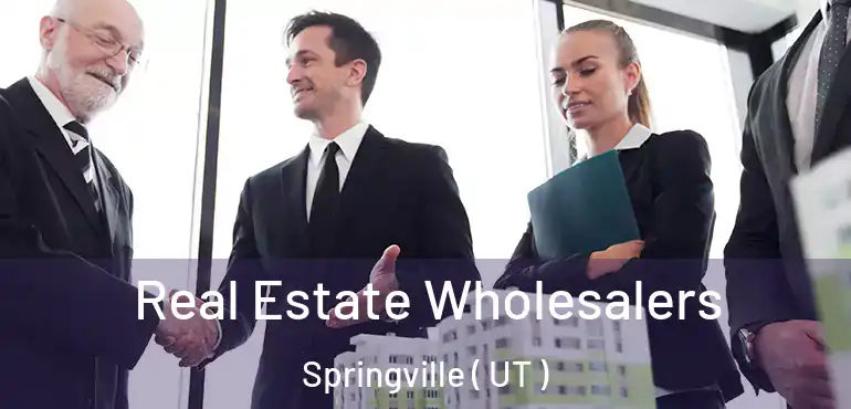  Real Estate Wholesalers Springville ( UT )