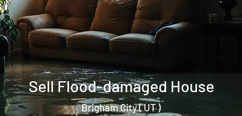  Sell Flood-damaged House Brigham City ( UT )