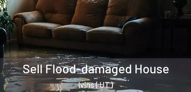  Sell Flood-damaged House Ivins ( UT )