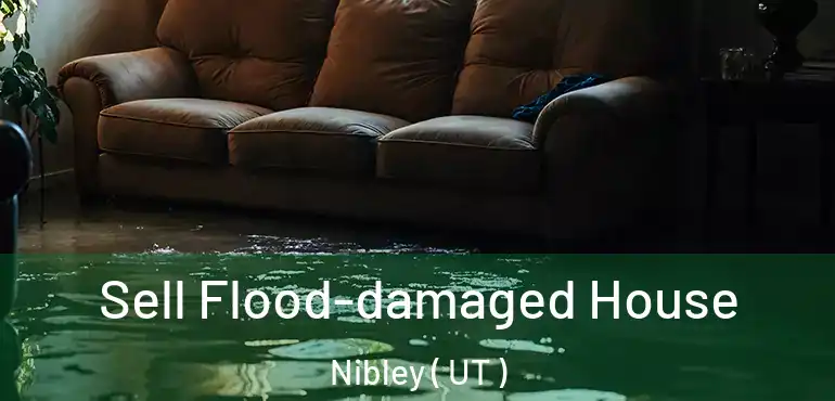  Sell Flood-damaged House Nibley ( UT )