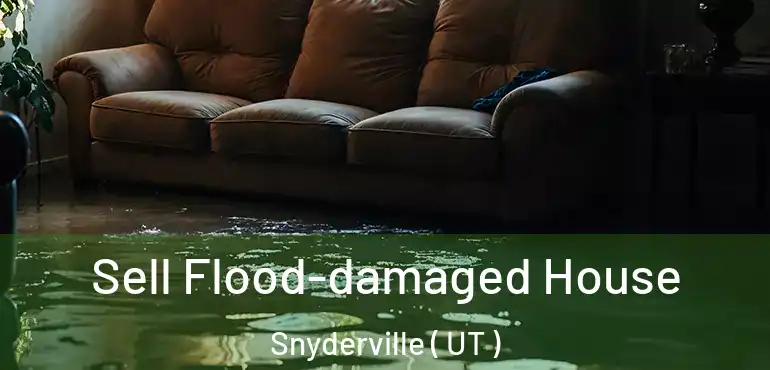  Sell Flood-damaged House Snyderville ( UT )