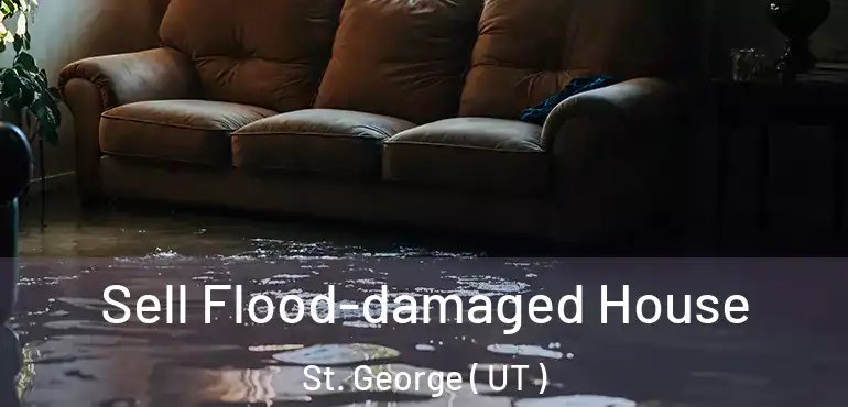  Sell Flood-damaged House St. George ( UT )