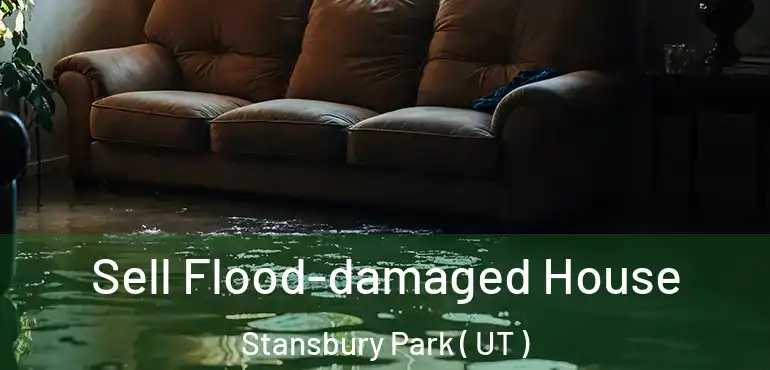  Sell Flood-damaged House Stansbury Park ( UT )