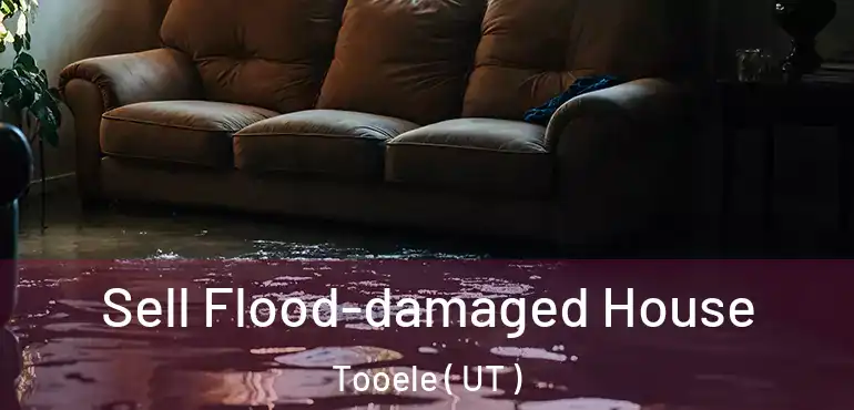  Sell Flood-damaged House Tooele ( UT )