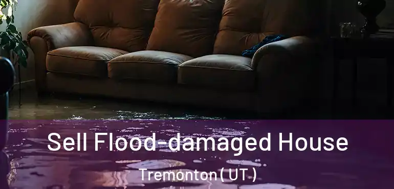  Sell Flood-damaged House Tremonton ( UT )