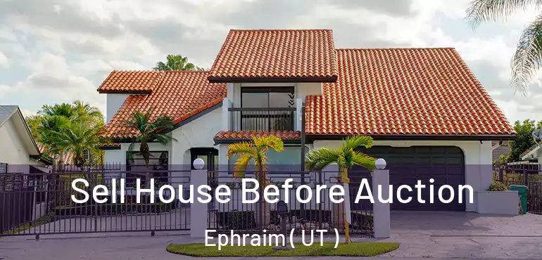  Sell House Before Auction Ephraim ( UT )