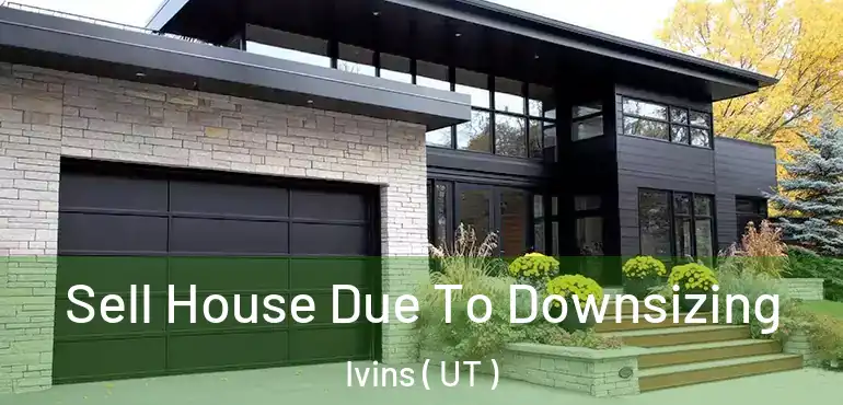  Sell House Due To Downsizing Ivins ( UT )