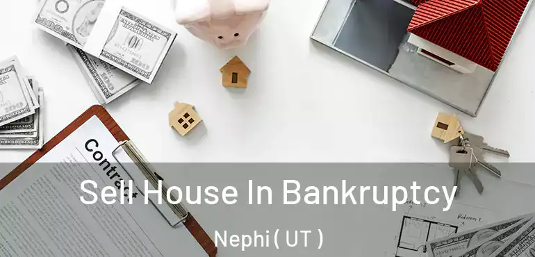  Sell House In Bankruptcy Nephi ( UT )