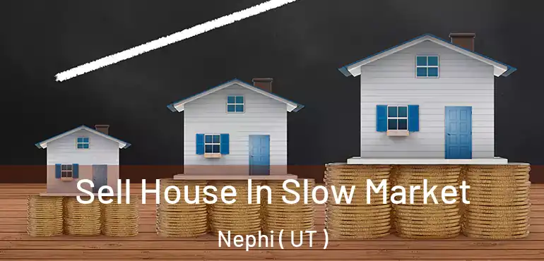  Sell House In Slow Market Nephi ( UT )