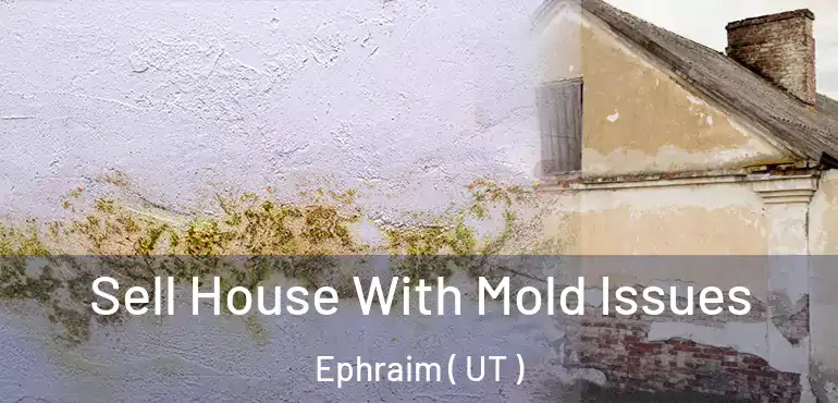  Sell House With Mold Issues Ephraim ( UT )