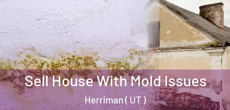  Sell House With Mold Issues Herriman ( UT )