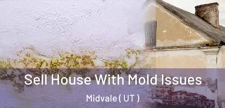  Sell House With Mold Issues Midvale ( UT )