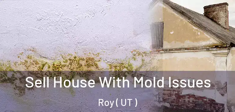 Sell House With Mold Issues Roy ( UT )