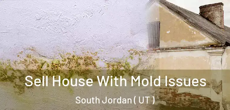  Sell House With Mold Issues South Jordan ( UT )