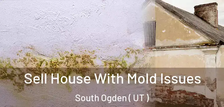  Sell House With Mold Issues South Ogden ( UT )