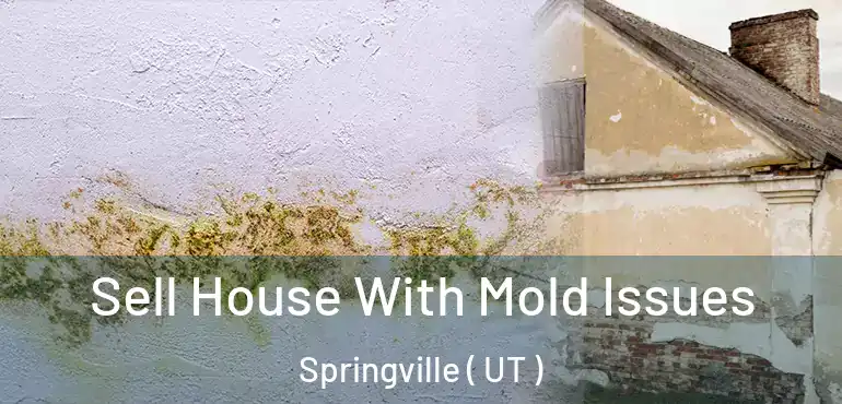  Sell House With Mold Issues Springville ( UT )