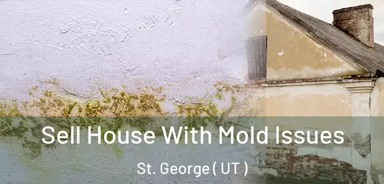  Sell House With Mold Issues St. George ( UT )