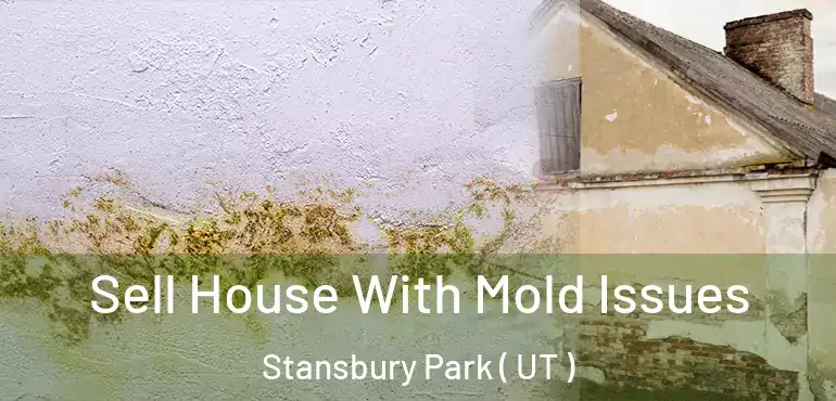  Sell House With Mold Issues Stansbury Park ( UT )