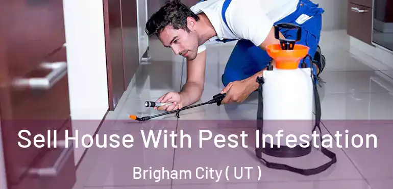  Sell House With Pest Infestation Brigham City ( UT )