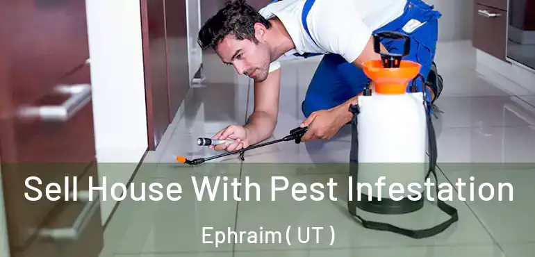  Sell House With Pest Infestation Ephraim ( UT )