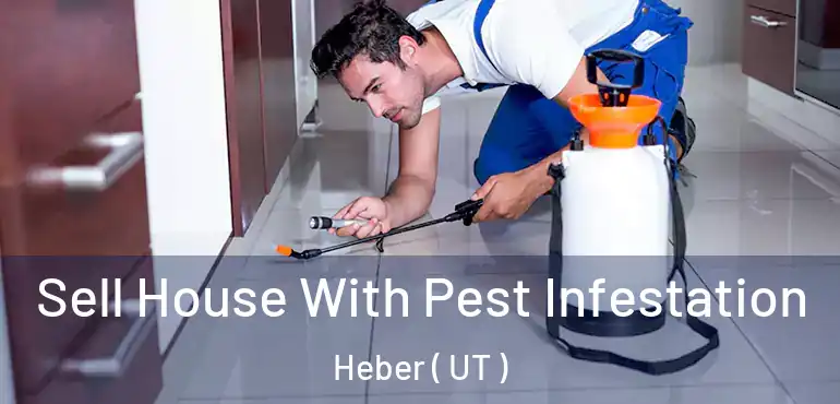  Sell House With Pest Infestation Heber ( UT )