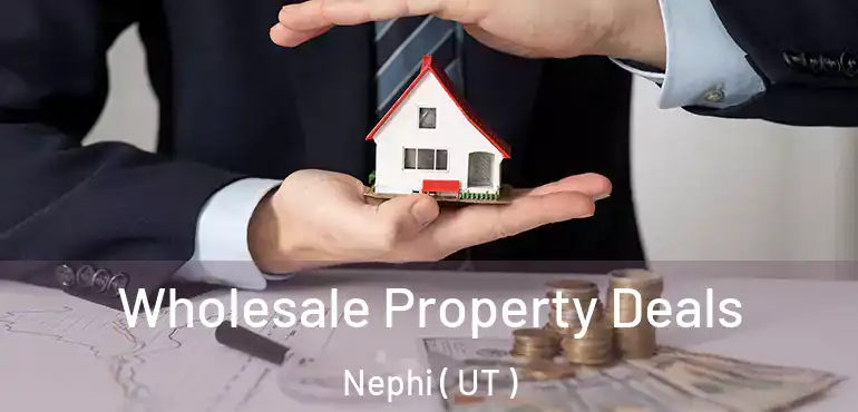  Wholesale Property Deals Nephi ( UT )